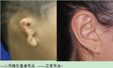 未標題-1.jpg
